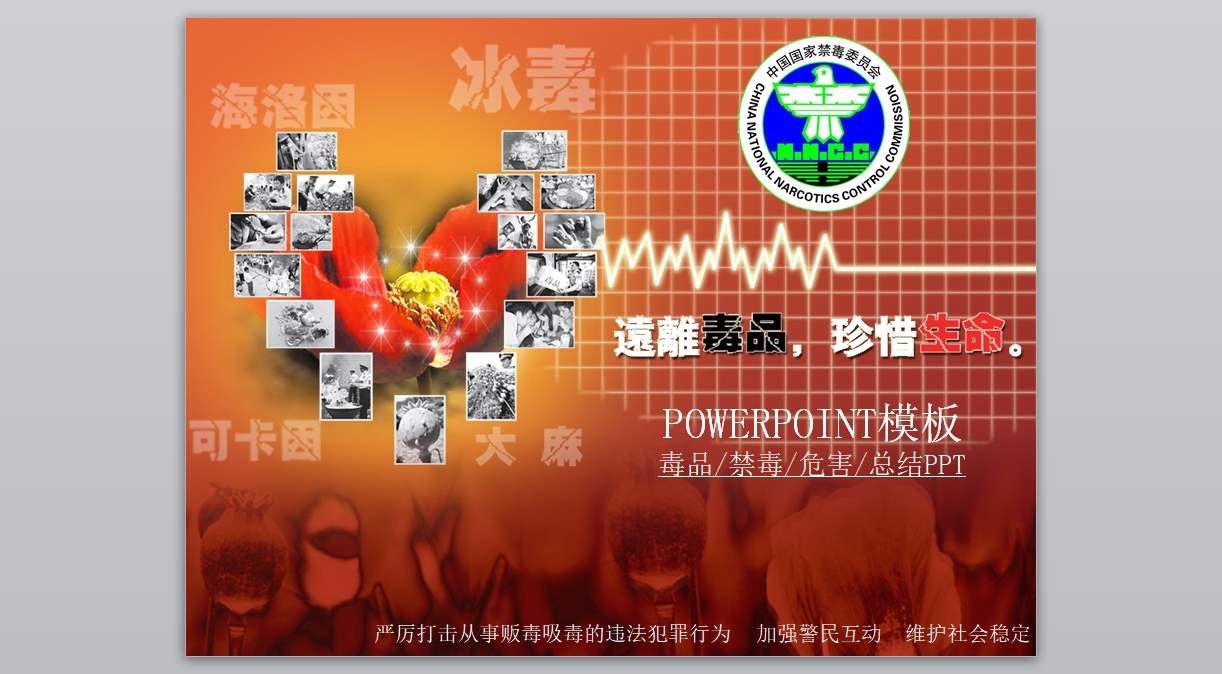 禁毒知识宣传PPT_禁du宣传PPT(7)1