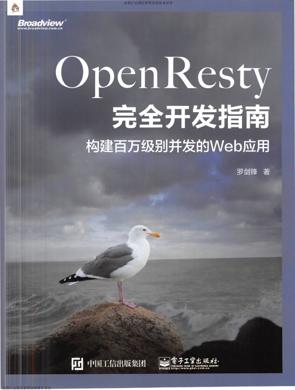 《OpenResty完全开发指南：构建百万级别并发的Web应用》_罗剑锋_1